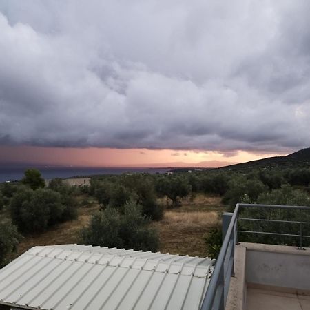 Panoramic View Summerhouse Loukissia Εξωτερικό φωτογραφία