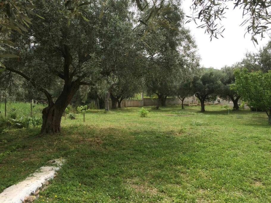 Panoramic View Summerhouse Loukissia Εξωτερικό φωτογραφία