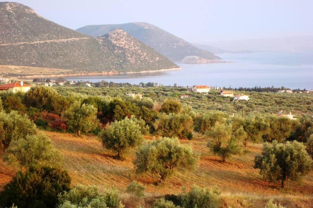 Panoramic View Summerhouse Loukissia Εξωτερικό φωτογραφία